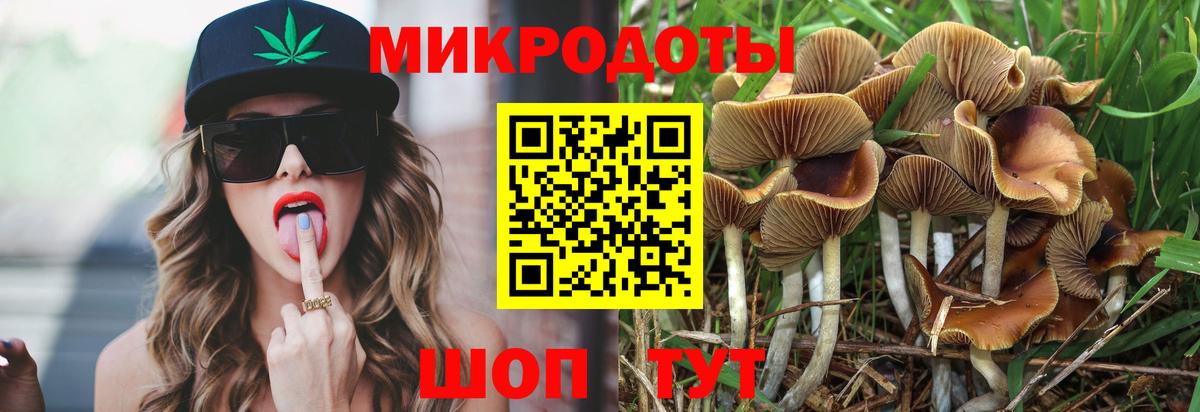 Баксан  Галлюциногенные грибы Magic Shrooms  Вход с VPN  Псилоцибиновые грибы GOLDEN TEACHER 
